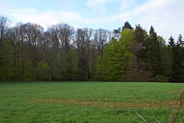 istock Small village set in the rolling hills of the Eifel, Germany. 1189134621