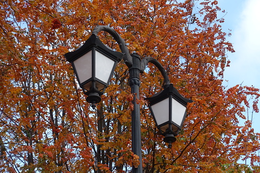 Old fashioned street light against blue sky and autumnal foliage of rowan