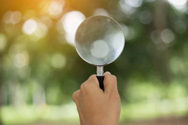 istock magnifying glass for reading and discovering the small things 1189135272