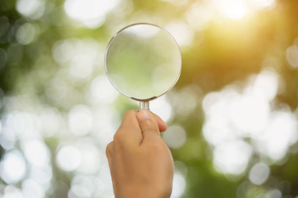istock magnifying glass for reading and discovering the small things 1189135274