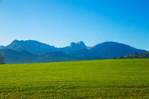 Scenic panoramic view of idyllic rolling hills landscape with blooming meadows and snowcapped alpine mountain peaks in the background on a beautiful sunny day with blue sky and clouds in summertime