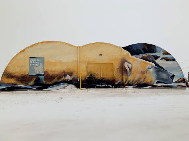 Churchill, Manitoba, Canada - November 17, 2019 :  Exterior of polar bear holding facility with art mural in Churchill, Manitoba, Canada.