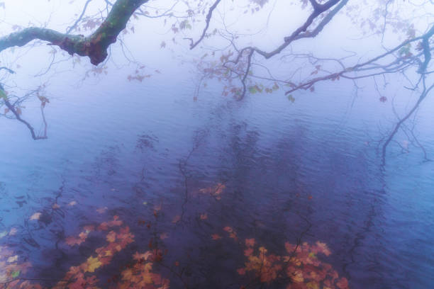 Jiujiang Lushan Scenic Area, China