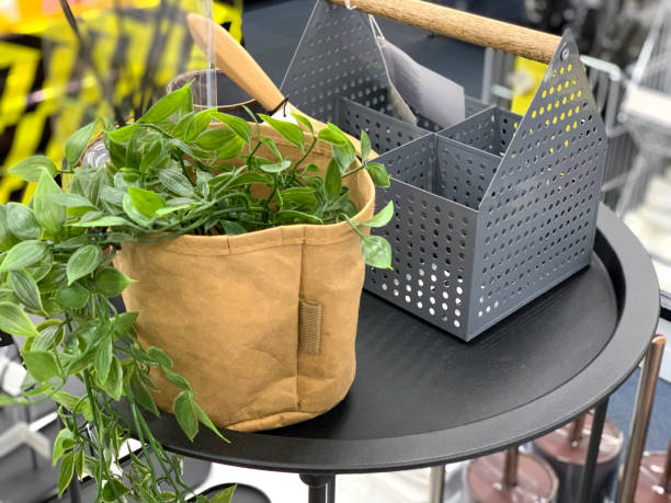istock Gardener's tool in a flower shop. 1189136488