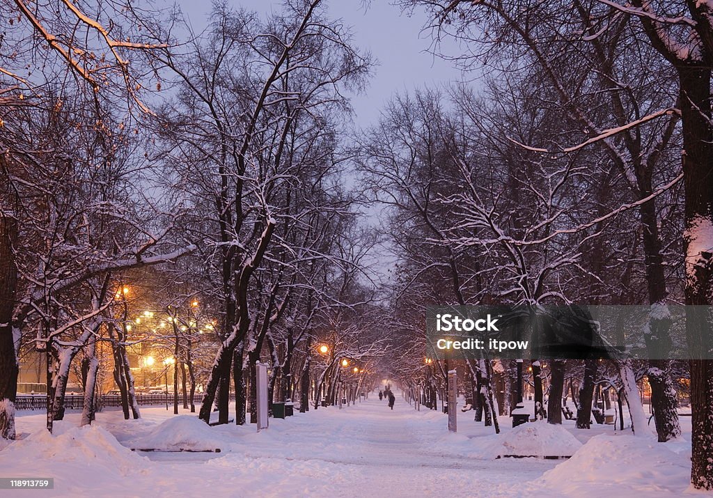 Noche de invierno. Moscú. Rusia. - Foto de stock de Callejuela libre de derechos