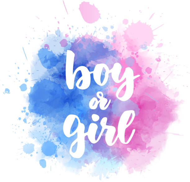 Boy or girl - gender reveal vector art illustration