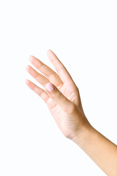 istock Beautiful female hands. With gently pink manicure. Isolated on a white background 1189138526