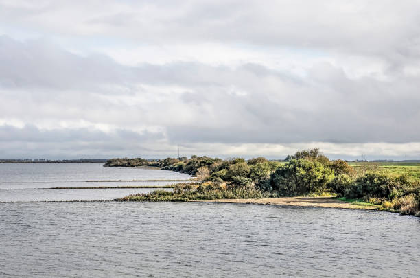 istock Coast of lake Grevelingen 1189139443