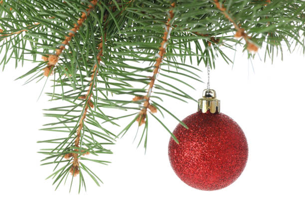 istock Pine branch with red bauble isolated on white background 1189140017