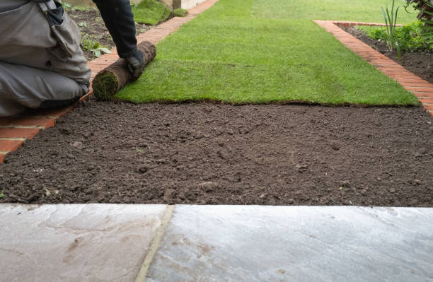 istock New grass turf being installed in a garden along new brick edging. 1189141498