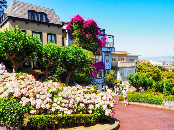 サンフランシスコのロンバードストリートの花の近所 - lombard street city urban scene city life ストックフォトと画像