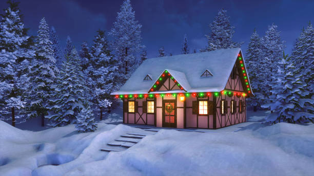 samotny wiejski dom urządzony na noc bożego narodzenia - winter snow landscape house zdjęcia i obrazy z banku zdjęć