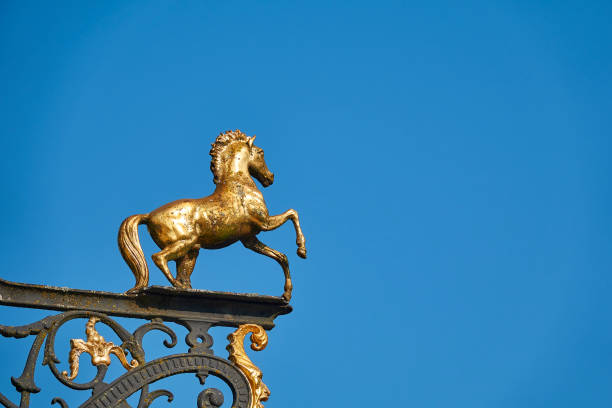 Blue sky over a riding stable with a horse on the roof