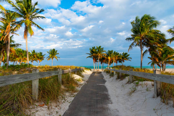 istock Wooden boardwalk in Crandon Park at sunset 1189147442