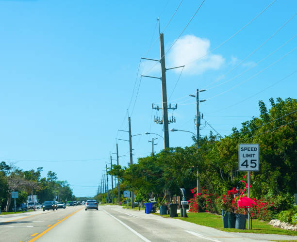 istock 45 Speed limit sign in Florida Keys 1189148630