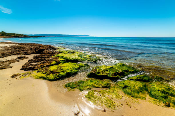 istock The Bombarde beach on a sunny day 1189148762