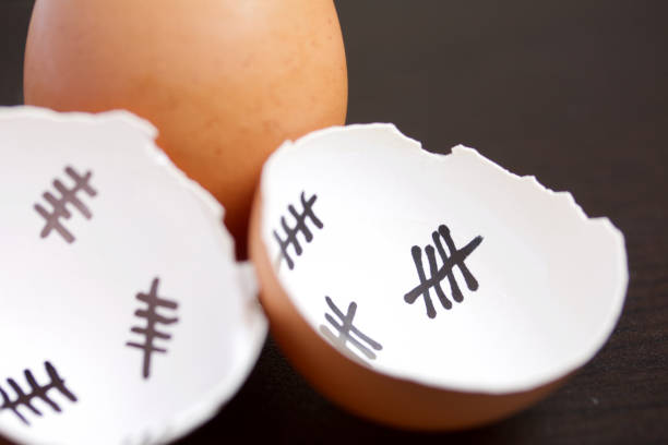 istock Chopped eggshell. It marks the days past. Nearby a whole egg. Chicken hatching. 1189149931