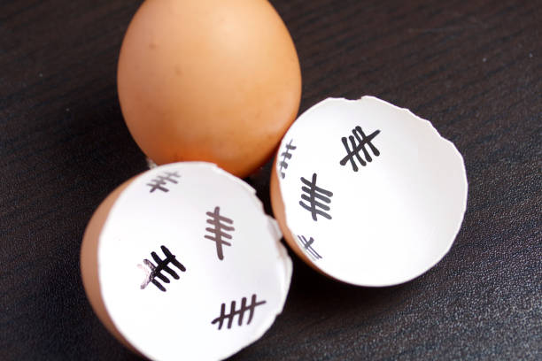 istock Chopped eggshell. It marks the days past. Nearby a whole egg. Chicken hatching. 1189149942