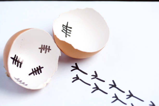 istock Chopped eggshell. It marks the days past. Traces of chicken are visible from the shell. Chicken hatching. On white background. 1189149960