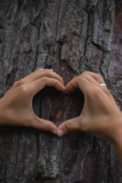 istock Tree bark with woman hand on it 1189150003