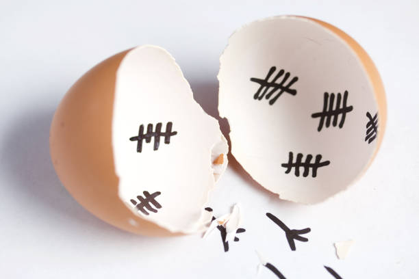 istock Chopped eggshell. It marks the days past. Traces of chicken are visible from the shell. Chicken hatching. On white background. 1189150044