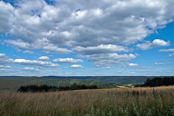 istock Summer landscape shot in the Eifel in Germany. 1189150058