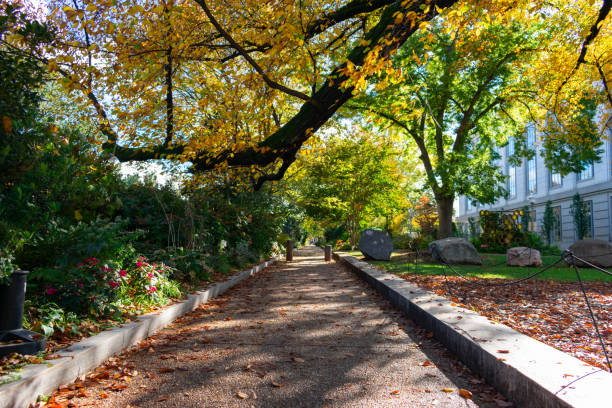 istock Path with Colorful Trees during Autumn in Washington D.C. 1189151806