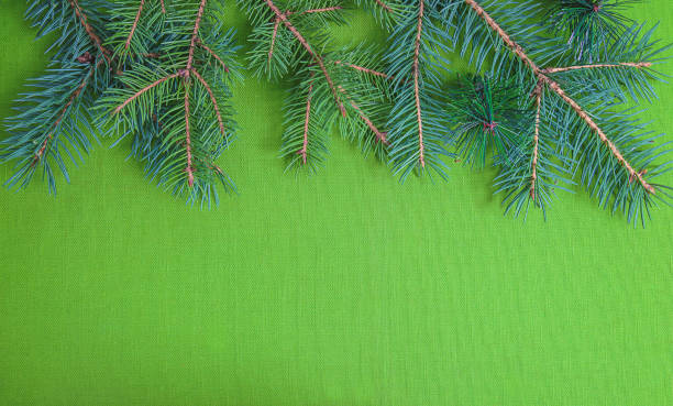 istock Frame of fir branches on the green fabric background. 1189153382