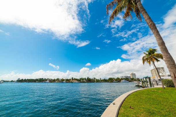 istock Palm trees by the sea in Fort Lauderdale 1189155131