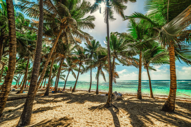 Guadeloupe is a French island in the Caribbean with magnificent beaches, a tropical forest and a volcano.\nSainte-Anne is a seaside resort on the Southern shore of Grande-Terre, with some of the most beautiful beaches on the island.