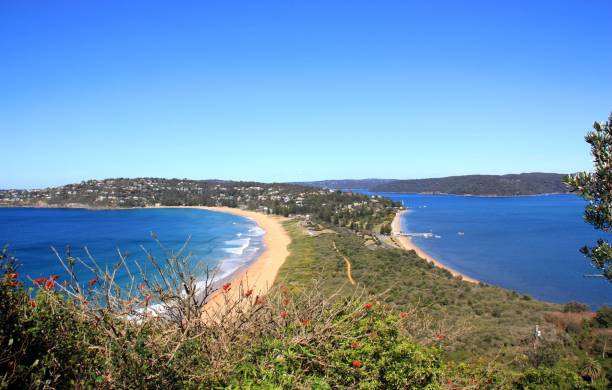istock The shore dividing the sea into two halves 1189157146