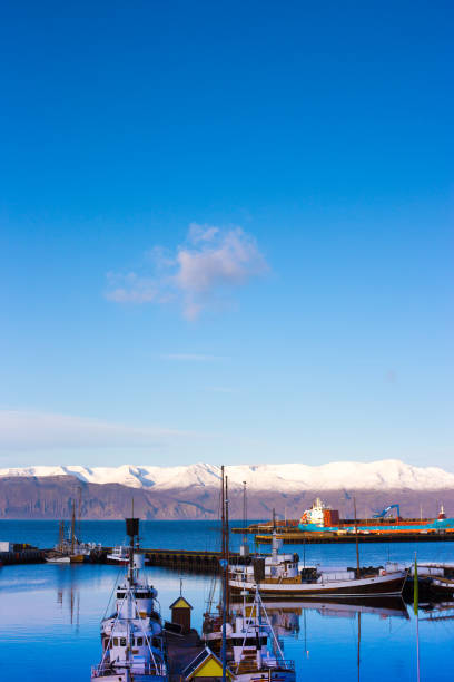 Húsavík, Iceland: Boats in Sunlit Harbor in Early Morning. Copy space in the sky.