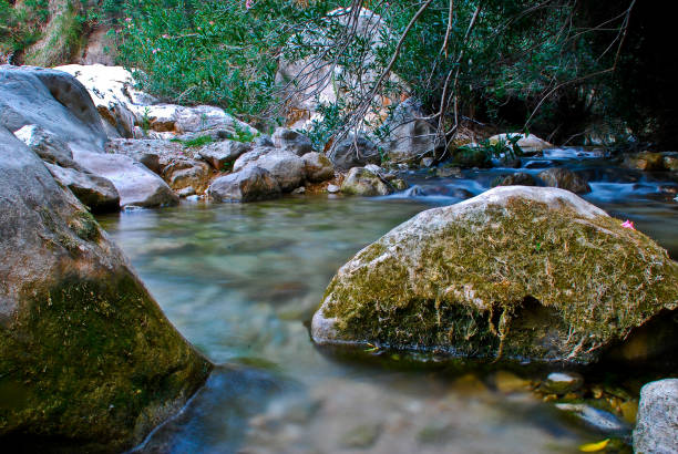 istock Turned stones with the power of water 1189157392