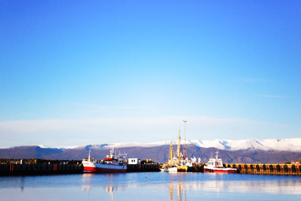 istock Húsavík, Iceland: Boats in Sunlit Harbor in Early Morning 1189157455
