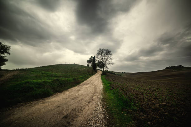 istock Dirt path under an overcast sky in Tuscany 1189158629