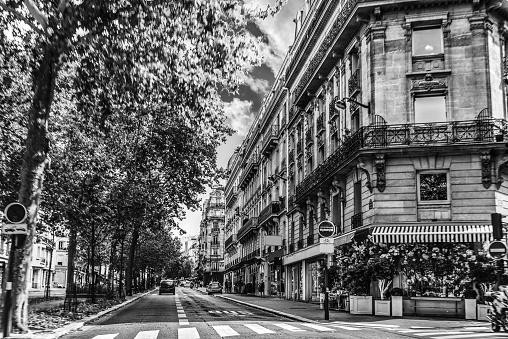 Luxury buildings and green trees in Paris, France. Black and white effect