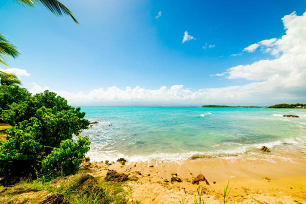 istock Colorful shore in Le Gosier in Guadeloupe 1189159145