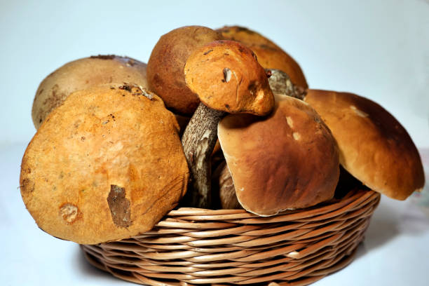 istock Freshly picked ripe mushrooms in the basket 1189160276