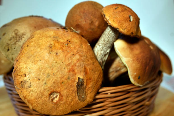 istock Freshly picked ripe mushrooms in the basket 1189160307