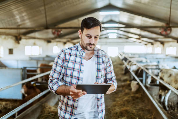 istock Handsome caucasian farmer in plaid shirt and jeans using tablet while standing in stable. 1189161381