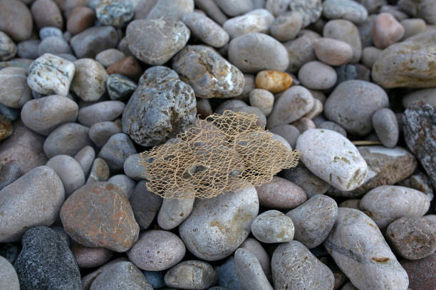 Woman Collects Pebbles on the Beach