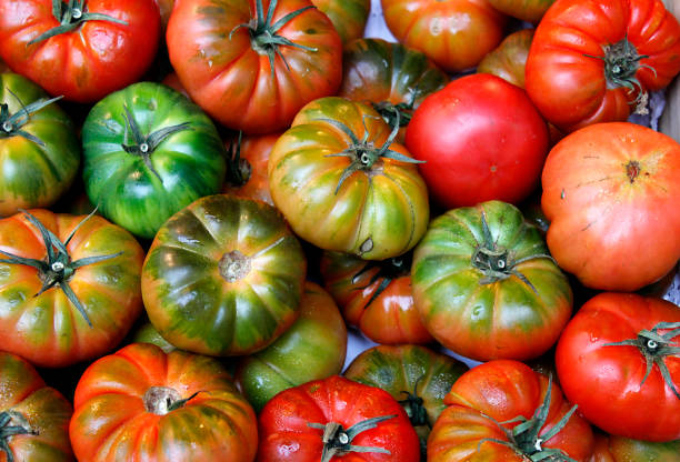istock Tomatoes in the market 1189163612