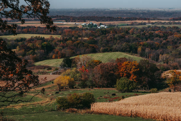 istock Rural Autumn Scene in Iowa 1189164359