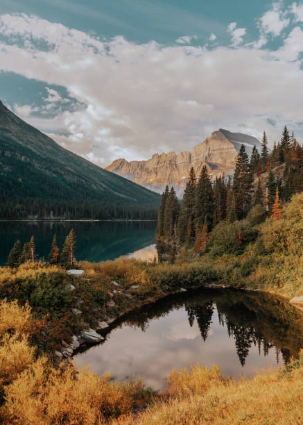 reflejos de estanques a lo largo del sendero glaciar grinnell en el parque nacional glaciar. - sunrise cloudscape us glacier national park vertical fotografías e imágenes de stock