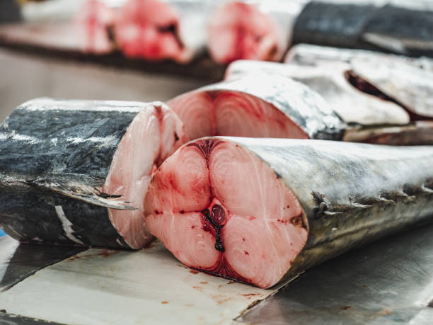 istock Fresh fish at the fish market. Close-up 1189166863