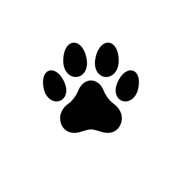 illustrazioni stock, clip art, cartoni animati e icone di tendenza di illustrazione stock logo icona zampa cane - pets white black nature
