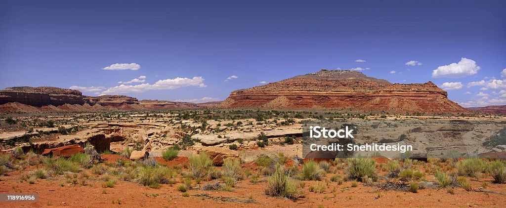 Vue panoramique sur le désert de l'Arizona - Photo de Arizona libre de droits