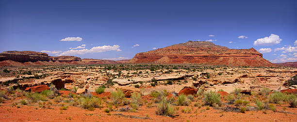 istock Panoramic view of Arizona desert 118916956