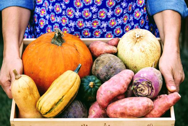 istock Organic, Locally Grown Farm Share Box, Community Supported Agriculture CSA box 1189170832