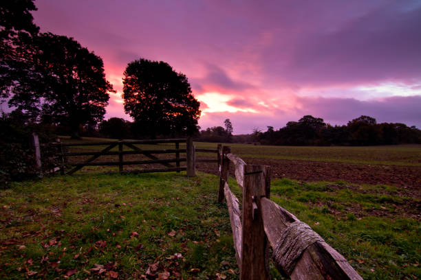 istock Wonderful landscape in the color of raspberry sunset 1189170874